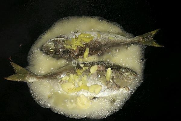 焖海鱼的做法图解4
