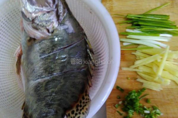 清蒸桂鱼的做法图解1