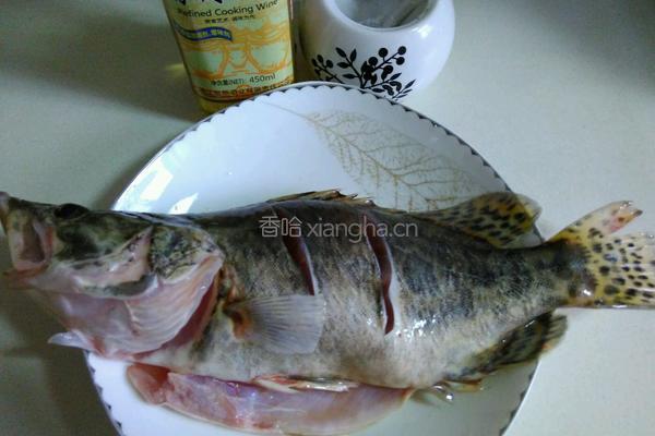 清蒸桂鱼的做法图解2