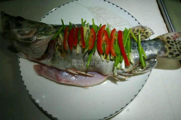 清蒸桂鱼的做法图解3