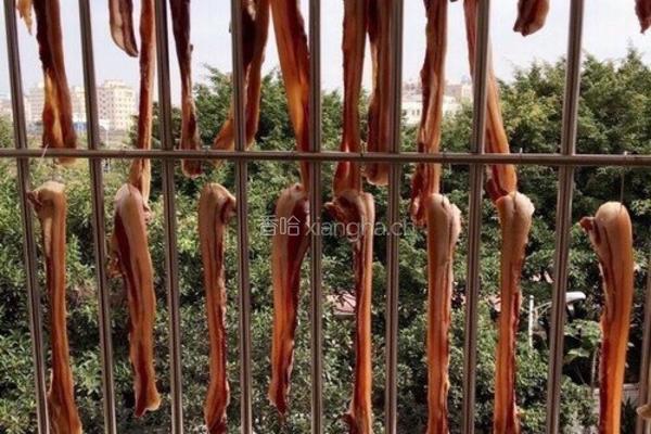 广式腊肉的做法图解10