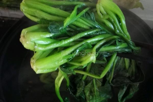 凉拌菠菜的做法图解2