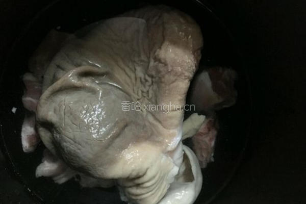 胡椒猪肚汤的做法图解5