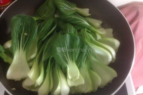 白灼上海青的做法图解4