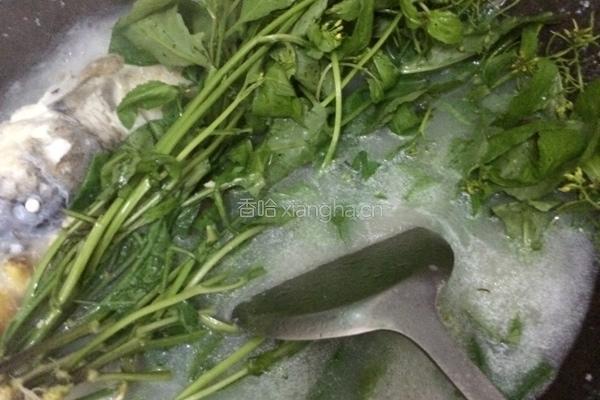 野葛菜鲫鱼汤的做法图解4