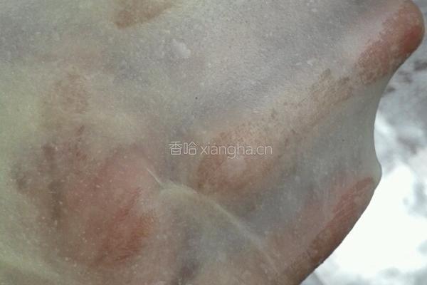 面包披萨的做法图解3