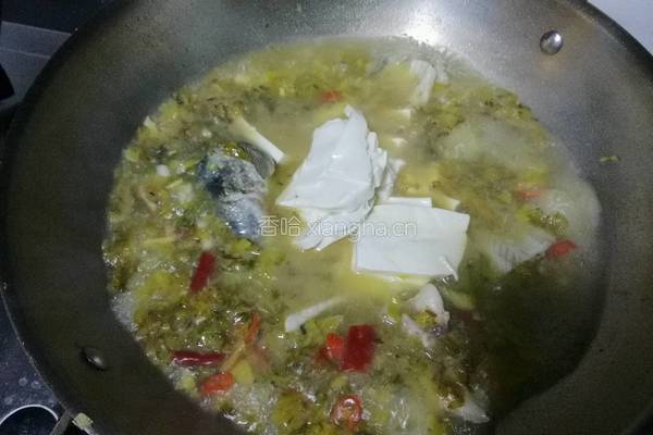 酸菜豆腐鱼的做法图解12