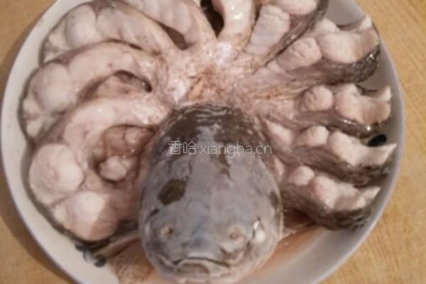 孔雀开屏的做法图解4