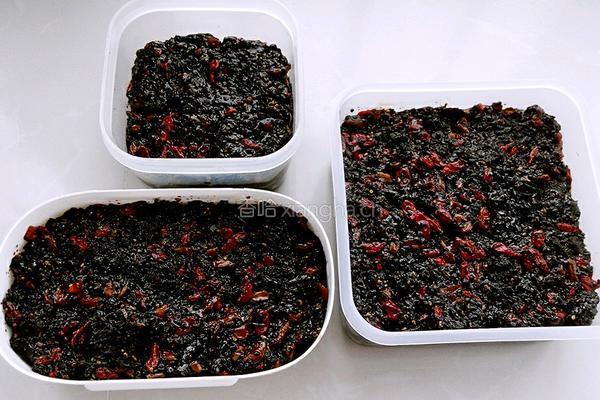 阿胶固元膏的做法图解11