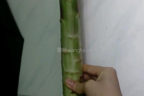 蒜蓉炒莴笋的做法图解1