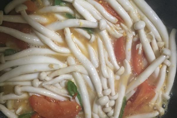 番茄海鲜菇的做法图解5