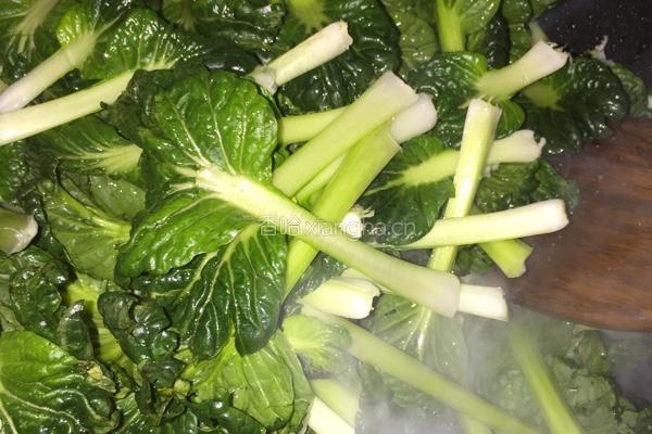 塔菜炒肉丝的做法图解6