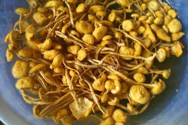 茶树菇炖排骨！的做法图解3