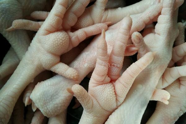 蒜香泡椒凤爪的做法图解1