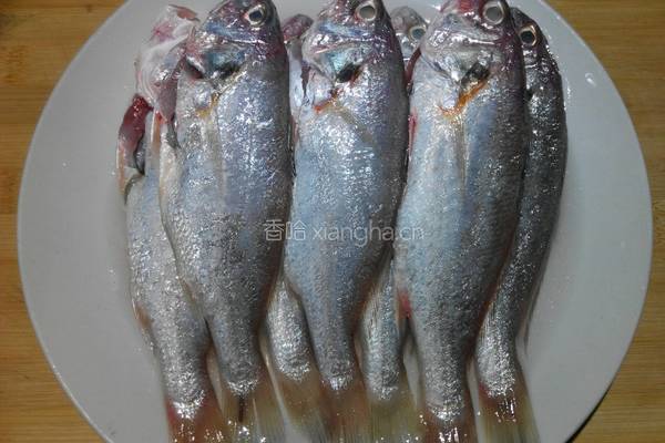 香煎黄花鱼的做法图解1