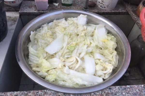 韩国泡菜的做法图解3