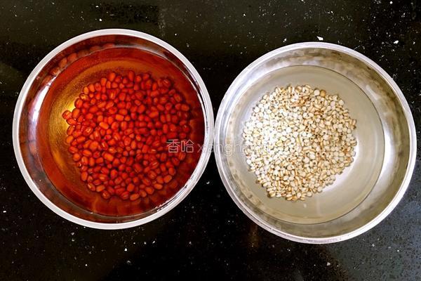 红豆薏米脊骨汤的做法图解1