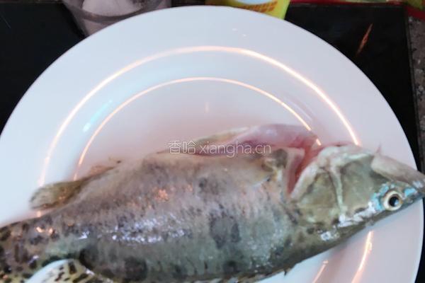红烧桂花鱼的做法图解3