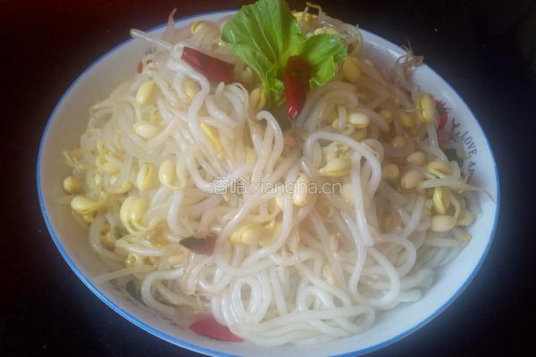 凉拌豆芽粉的做法图解4