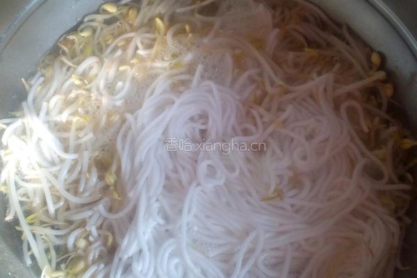 凉拌豆芽粉的做法图解1