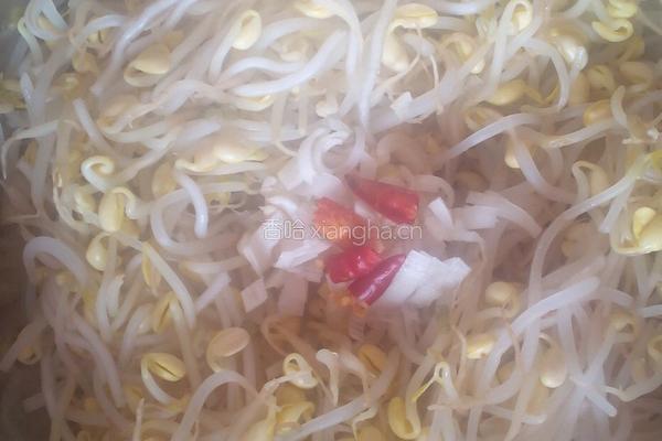 凉拌豆芽粉的做法图解2