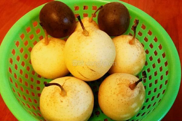 蜂蜜秋梨膏的做法图解1