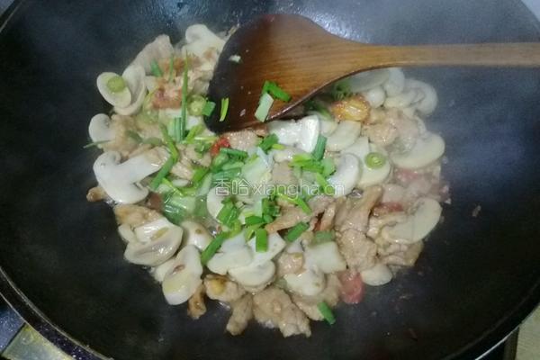 蘑菇炒肉片的做法图解10