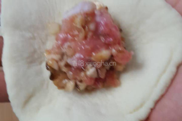 香菇鲜肉小笼包的做法图解4