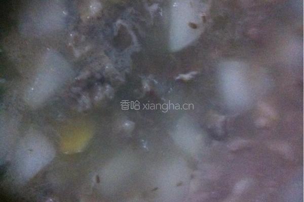 羊肉萝卜汤的做法图解8