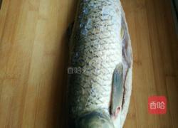 酸菜鱼的做法图解1