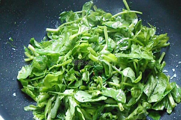 清炒豌豆苗的做法图解4