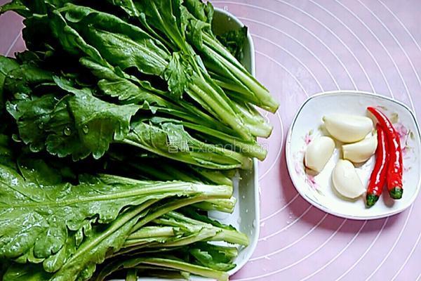 蒜蓉茼蒿的做法图解1