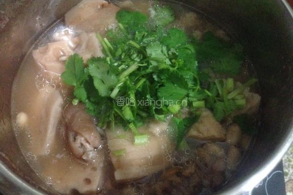 莲藕猪尾汤的做法图解10