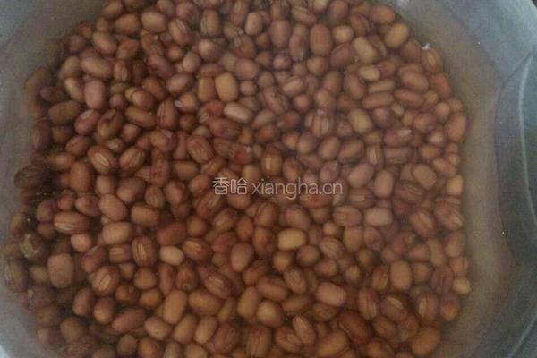 红豆沙的做法图解1