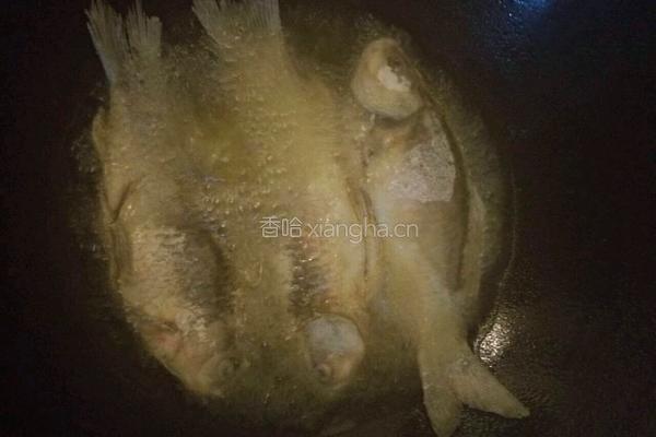 鲫鱼烧咸菜头的做法图解4