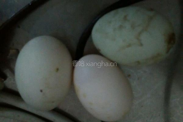 煎荷包蛋的做法图解1