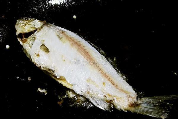 鲫鱼豆腐汤的做法图解5