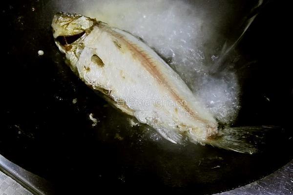 鲫鱼豆腐汤的做法图解6
