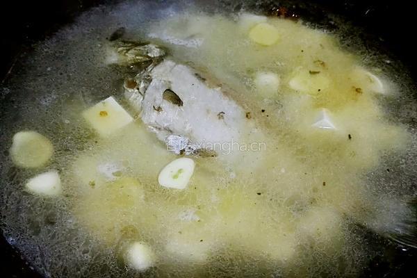 鲫鱼豆腐汤的做法图解8