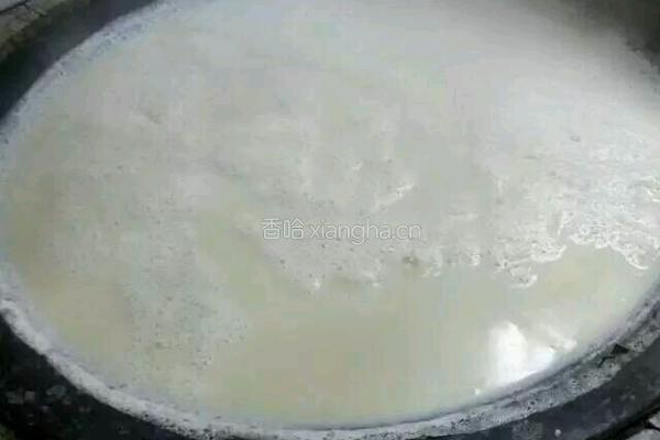 自制盐卤豆腐的做法图解2