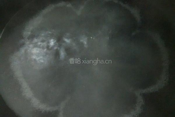荠菜水饺的做法图解23