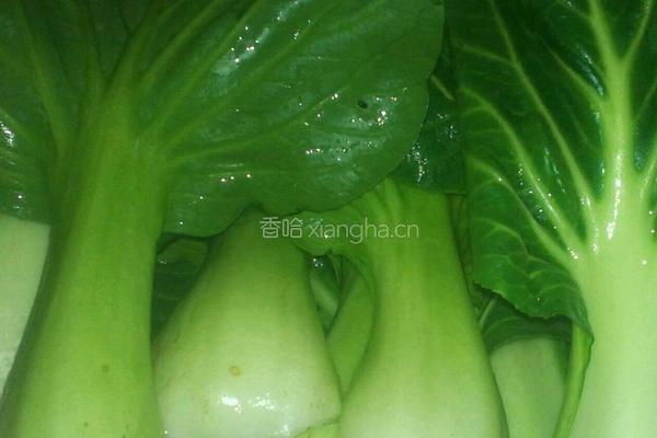 青菜牛肚面的做法图解4