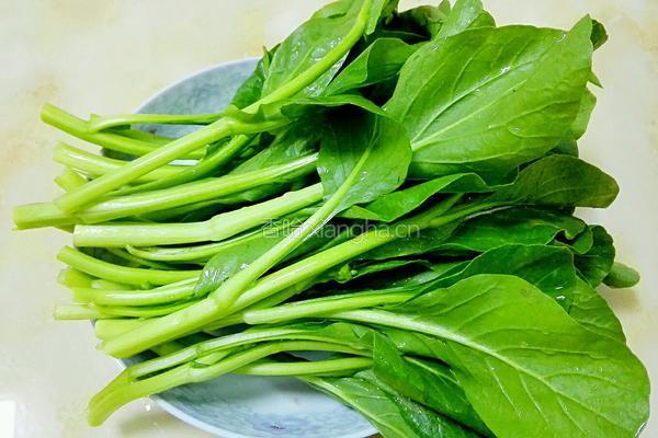 广东菜心的做法图解1
