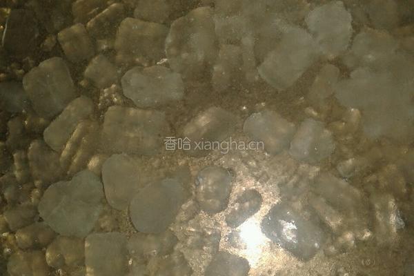 冰糖柠檬水的做法图解3