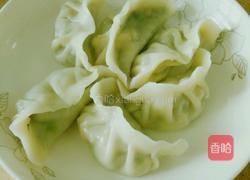 韭菜鸡蛋饺子的做法图解9