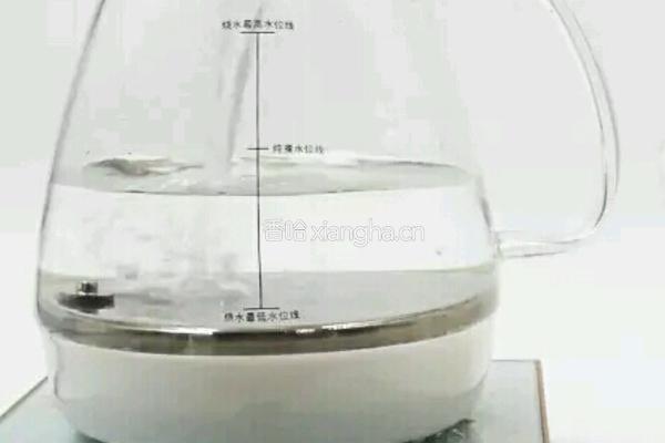 红枣枸杞炖燕窝的做法图解3