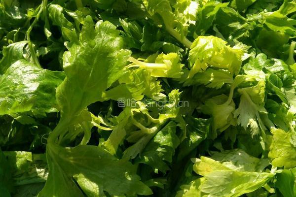 芹菜猪肉馅水饺的做法图解1