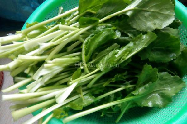虾皮油麦菜的做法图解2