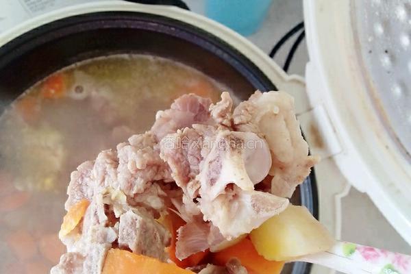 胡萝卜玉米龙骨汤的做法图解4