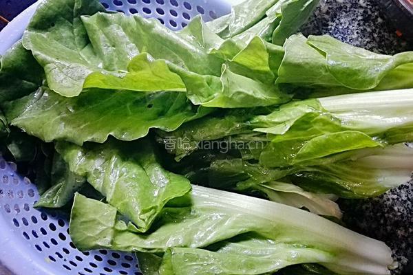 酿猪婆菜的做法图解2